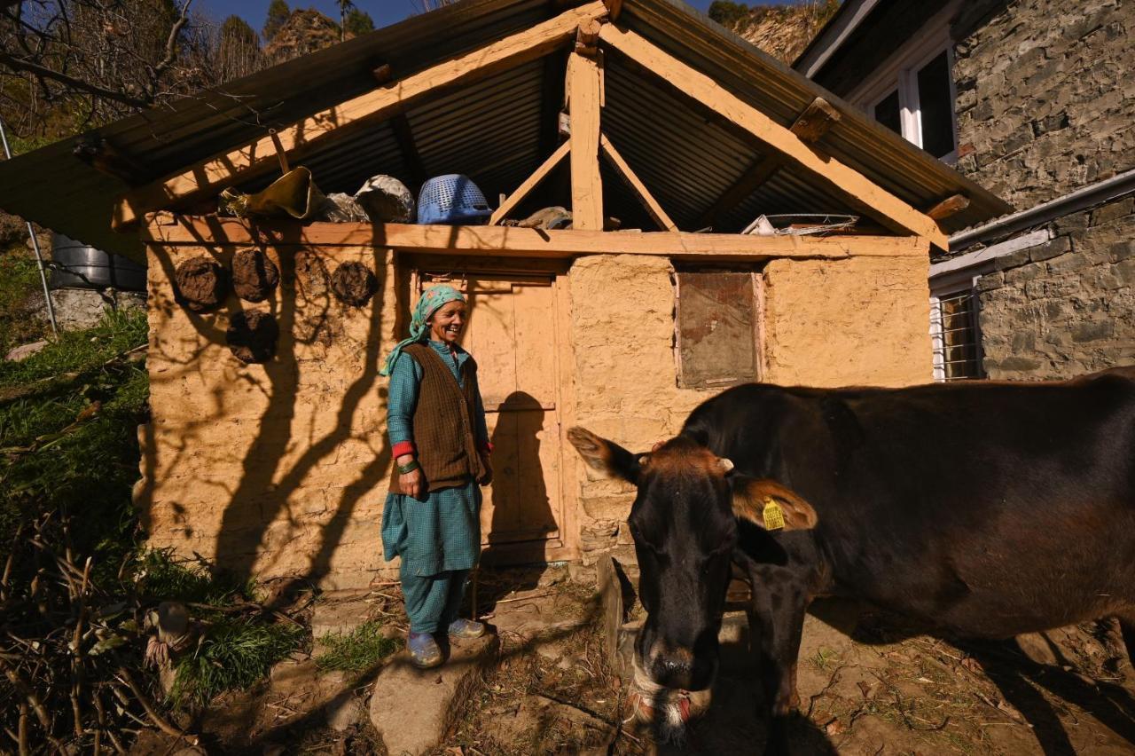 Auberge de jeunesse Zostel Dobhi, Manali à Nagar  Extérieur photo