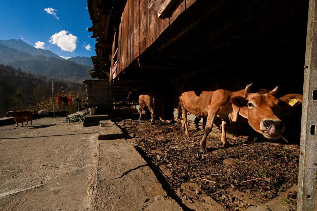 Auberge de jeunesse Zostel Dobhi, Manali à Nagar  Extérieur photo