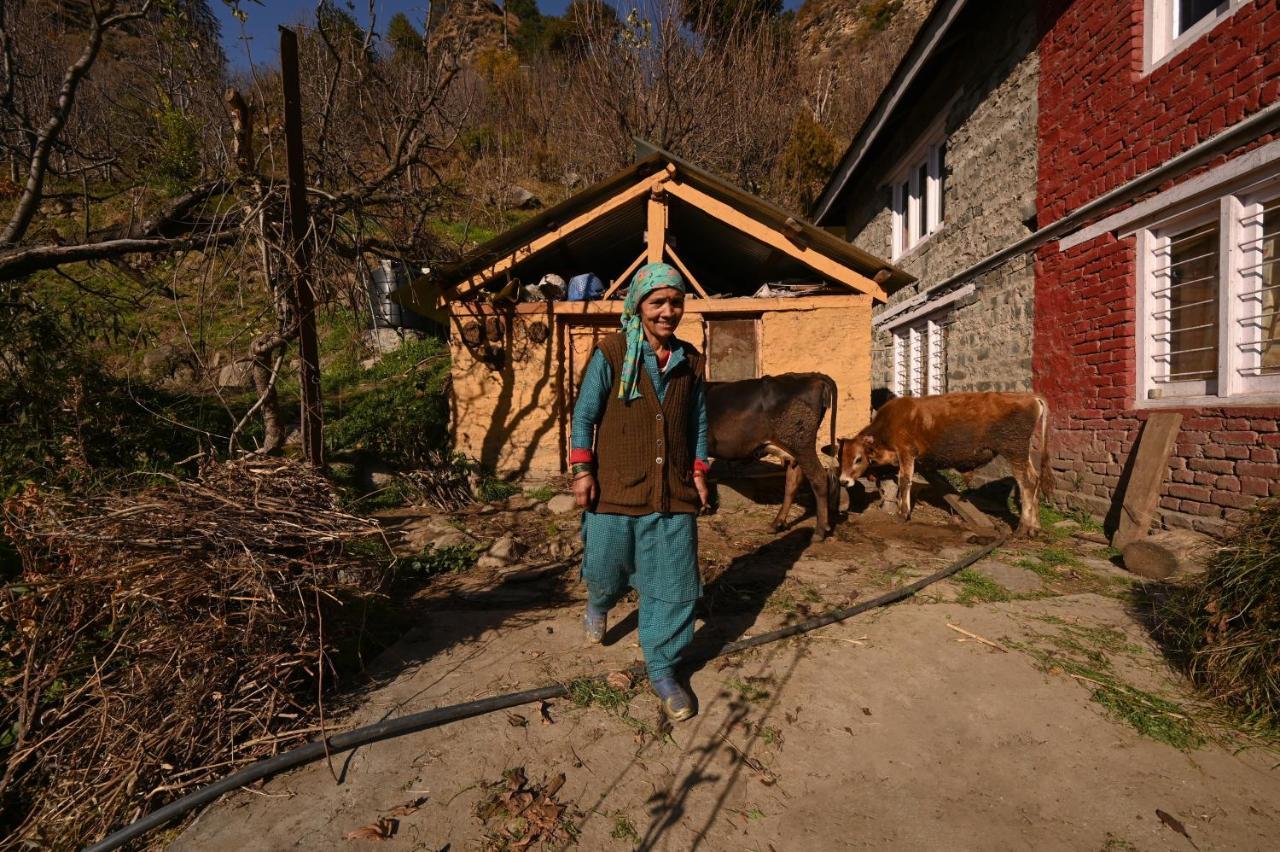 Auberge de jeunesse Zostel Dobhi, Manali à Nagar  Extérieur photo
